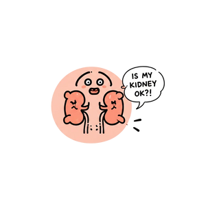 Heard that eating protein harms my kidney!